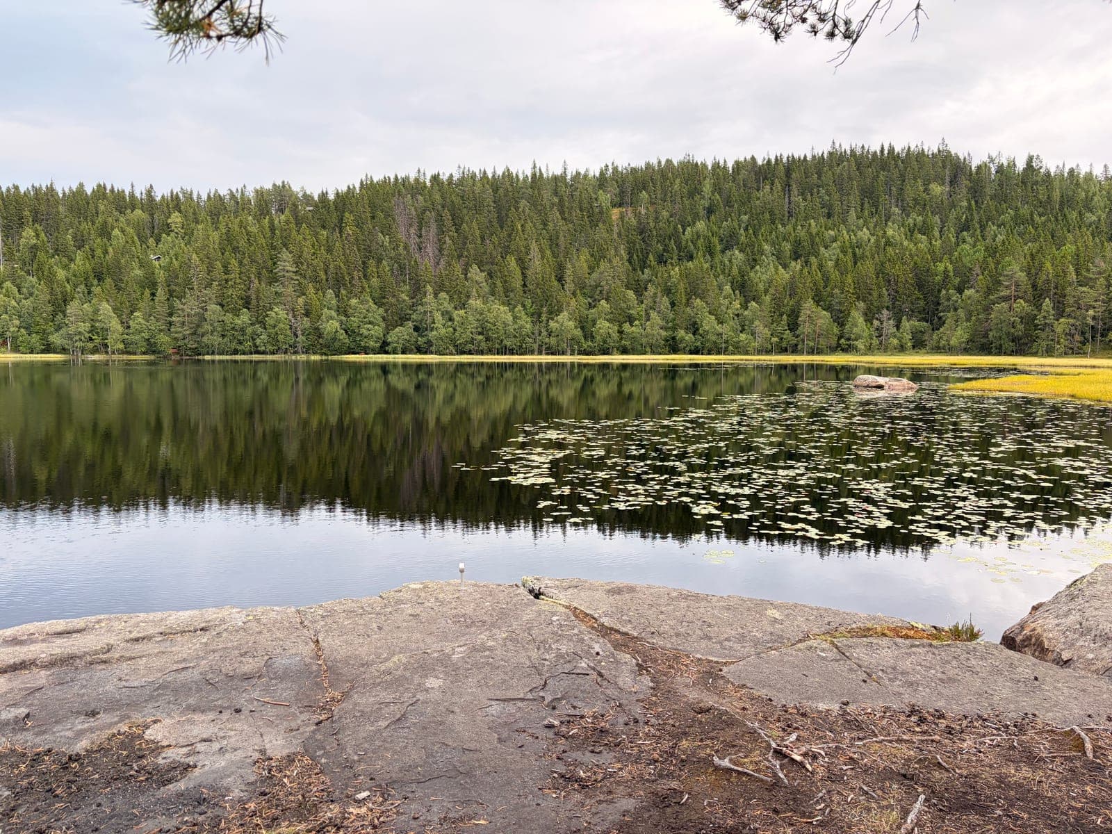 Tjernet. Omslaget over er det samme bildet, tegnet opp av sin egen luminans.